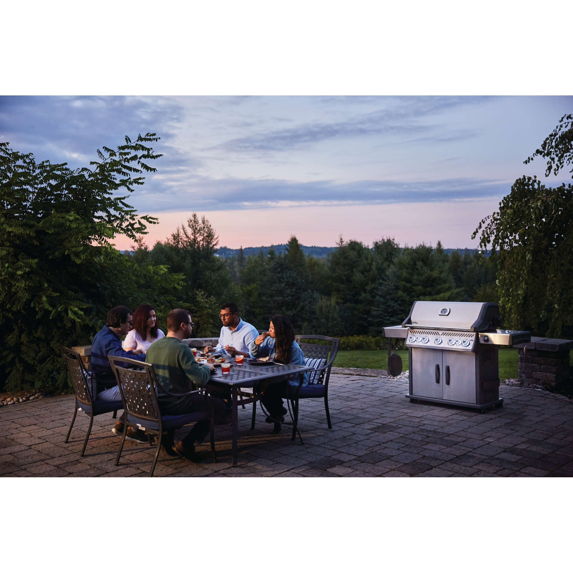 Napoleon Rogue® XT 625 Propane Gas Grill with Infrared Side Burner, Stainless Steel